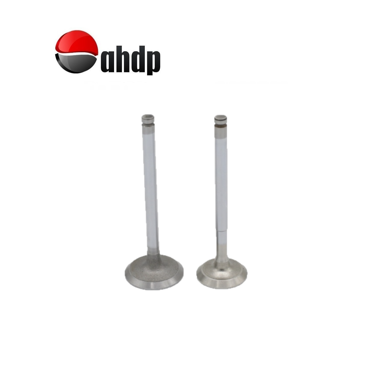 ENGINE VALVE SET IN+EX LOMBARDINI - LI019652017, LI019685027